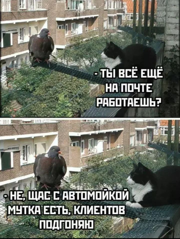 - ТЫ ВСЁ ЕЩЕ НА ПОЧТЕ РАБОТАЕШЬ?\n- НЕ, ЩАС С АВТОМОЙКОЙ МУТКА ЕСТЬ, КЛИЕНТОВ ПОДГОНЯЮ