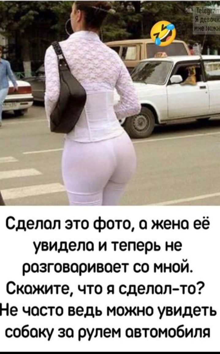 Сделал это фото, а жена её увидела и теперь не разговаривает со мной. Скажите, что я сделал-то? Не часто ведь можно увидеть собаку за рулем автомобиля