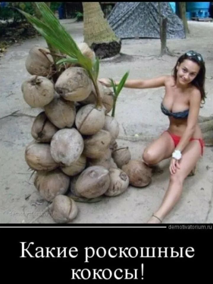 Какие роскошные кокосы!