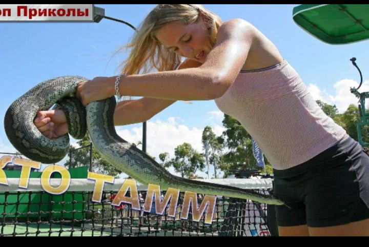 Шок Приколы TO TAMM