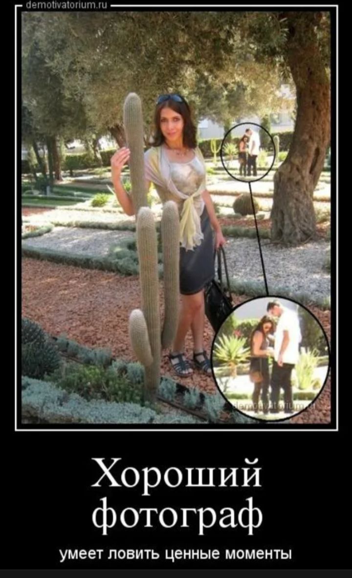 Хороший фотограф умеет ловить ценные моменты