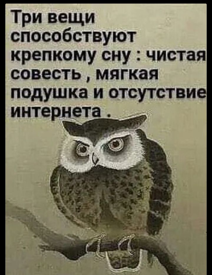 Три вещи способствуют крепкому сну: чистая совесть, мягкая подушка и отсутствие интернета.