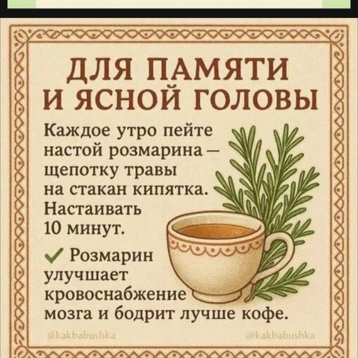 ДЛЯ ПАМЯТИ И ЯСНОЙ ГОЛОВЫ Каждое утро пейте настой розмарина — цепочку травы на стакан кипятка. Наставлять 10 минут. ✅ Розмарин улучшает кровоснабжение мозга и бодрит лучше кофе.