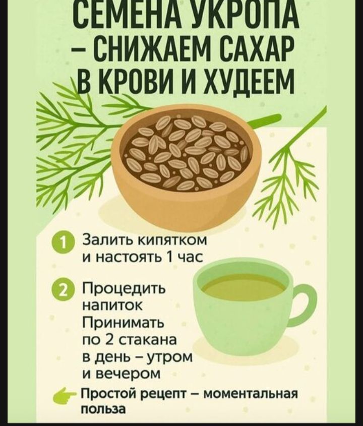 СЕМЕНА УКРОПА — СНИЖАЕМ САХАР В КРОВИ И ХУДЕЕМ. 1. Залить кипятком и настоять 1 час. 2. Процедить напиток. Принимать по 2 стакана в день — утром и вечером. Простой рецепт — моментальная польза.