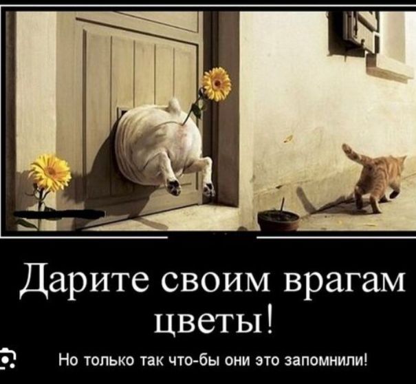 Дарите своим врагам цветы! Но только так чтобы они это запомнили!