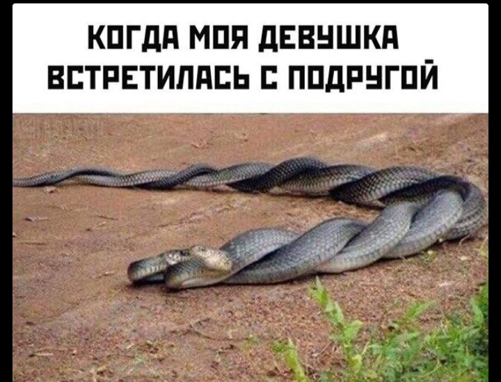КОГДА МОЯ ДЕВУШКА ВСТРЕТИЛАСЬ С ПОДРУГОЙ