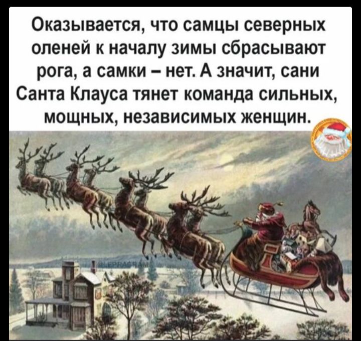 Оказывается, что самцы северных оленей к началу зимы сбрасывают рога, а самки — нет. А значит, сани Санта Клауса тянут команда сильных, мощных, независимых женщин.