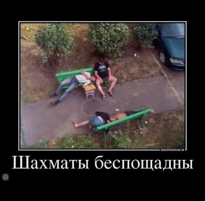 Шахматы беспощадны