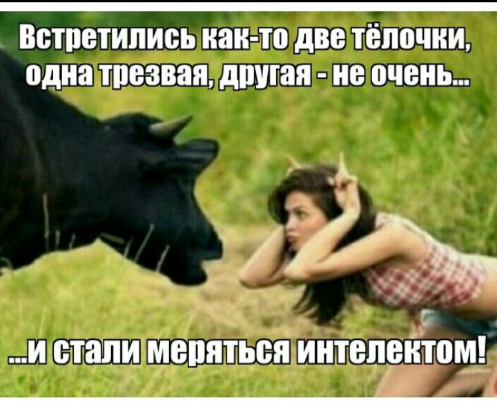 Встретились как-то две тёлочки, одна трезвая, другая - не очень...и стали меряться интеллектом!