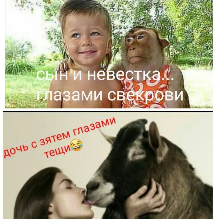 сын и невестка глазами свекрови. Дочь с зятем с тещи 😂