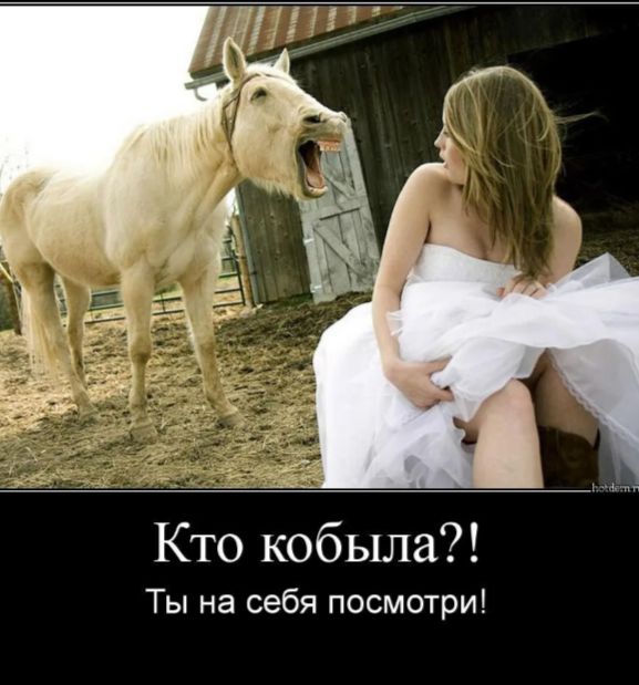 Кто кобыля?! Ты на себя посмотри!