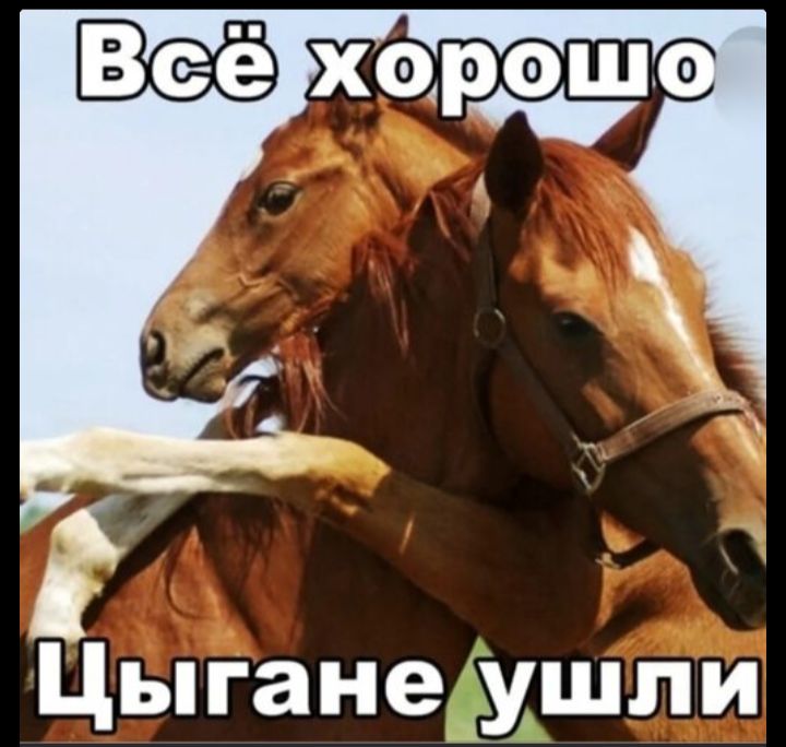 Всё хорошо
Цыганы ушли