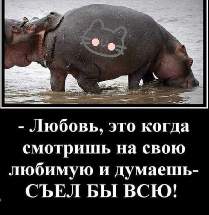 - Любовь, это когда смотришь на свою любимую и думаешь- СЪЕЛ БЫ ВСЮ!