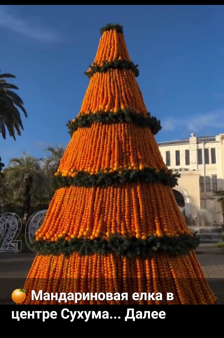 🍊Мандариновая елка в центре Сухума... Далее