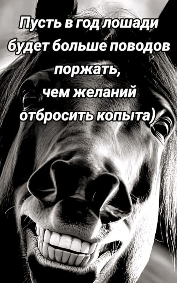 Пусть в год лошади будет больше поводов поржать, чем желаний отбросить копыта