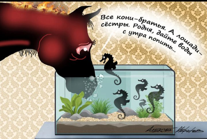 Все кони-братья. А лошади - сестры. Родня, дайте воды с утра попить.