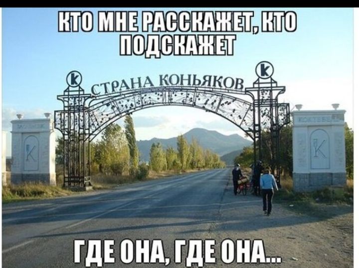 КТО МНЕ РАССКАЖЕТ, КТО ПОДСКАЖЕТ
СТРАНА КОНЬЯКОВ
ГДЕ ОНА, ГДЕ ОНА...