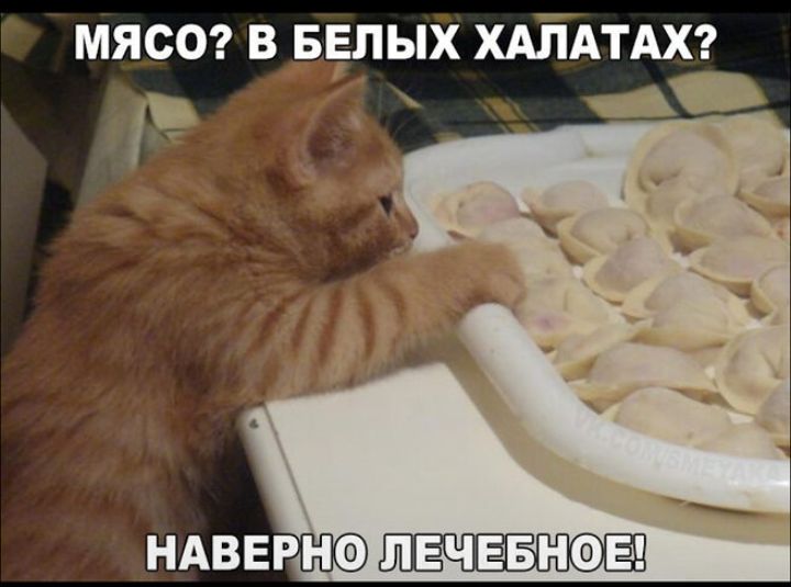 МЯСО? В БЕЛЫХ ХАЛАТАХ? НАВЕРНО ЛЕЧЕБНОЕ!