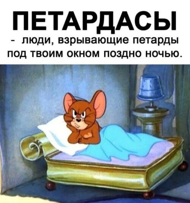 ПЕТАРДАСЫ - люди, взрывающие петарды под твоим окном поздно ночью.
