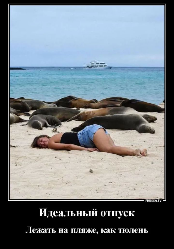 Идеальный отпуск Лежать на пляже, как тюлень