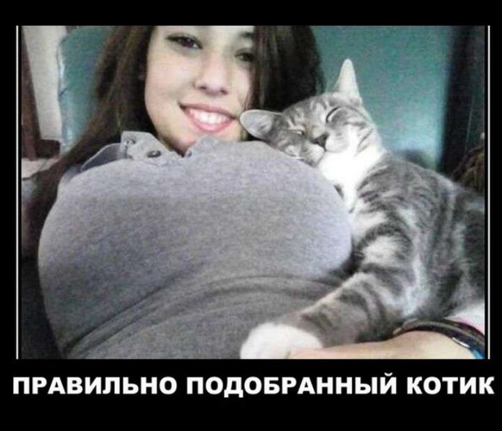 ПРАВИЛЬНО ПОДОБРАННЫЙ КОТИК