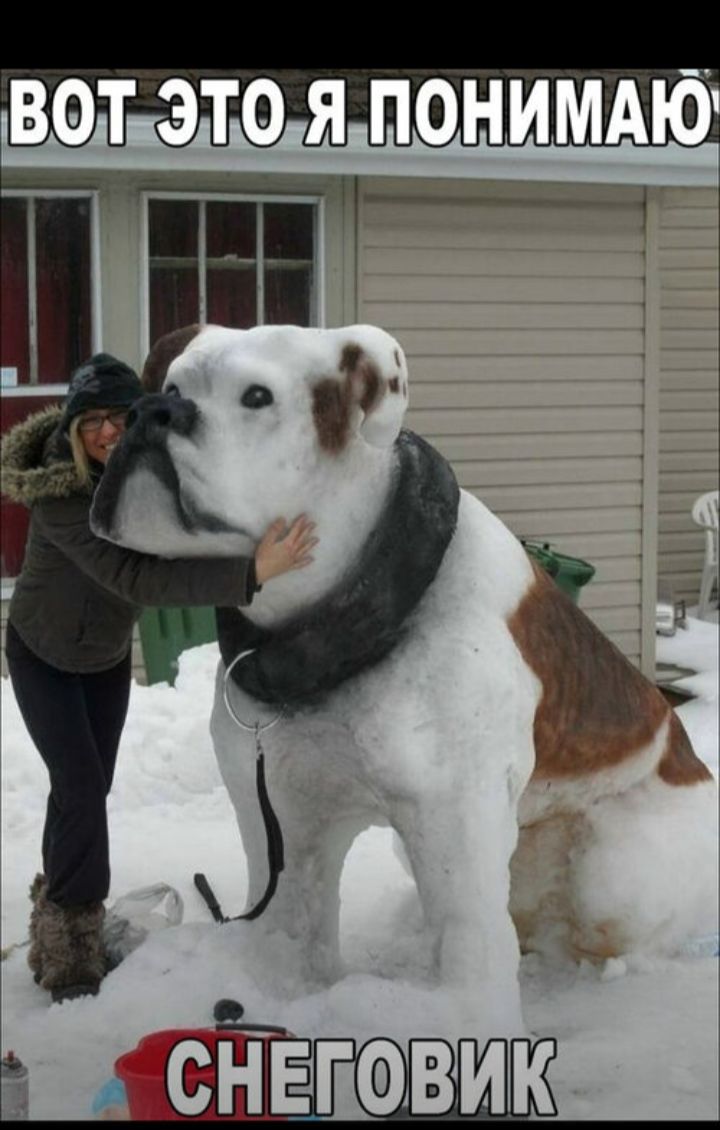 ВОТ ЭТО Я ПОНИМАЮ
СНЕГОВИК