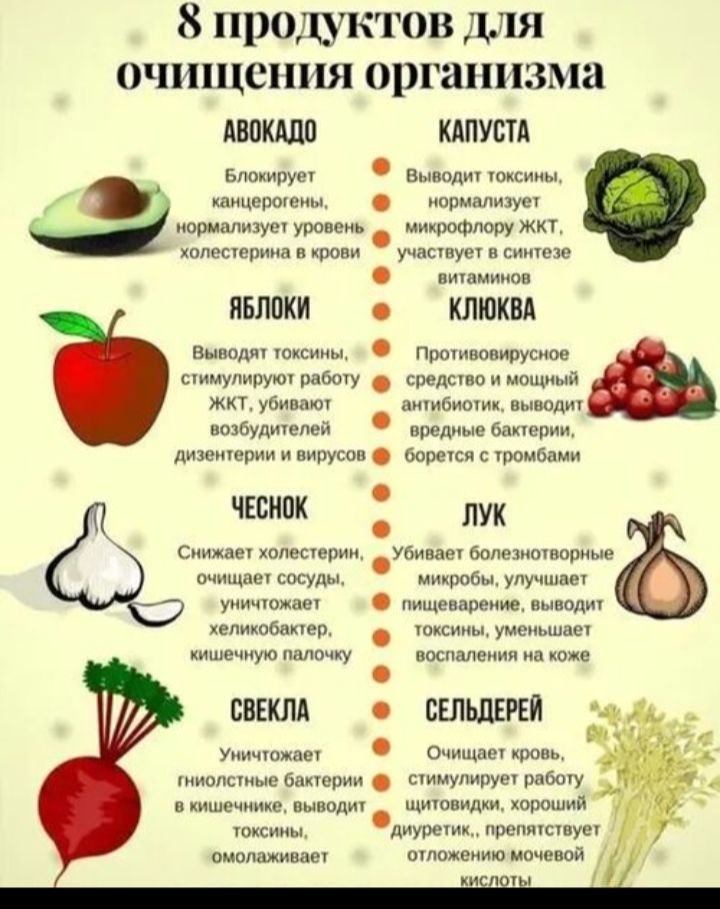 8 продуктов для очищения организма: авокадо — блокирует канцерогены, нормализует холестерин; капуста — выводит токсины, нормализует ЖКТ; яблоки — выводят токсины, стимулируют ЖКТ; чеснок — снижает холестерин, очищает сосуды; клюква — противовирусна, борется с бактериями; лук — убивает микробы, выводит токсины; свекла — уничтожает вредные бактерии в кишечнике; сельдерей — очищает кровь, диуретик.