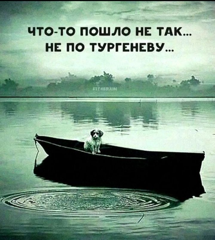 ЧТО-ТО ПОШЛО НЕ ТАК... НЕ ПО ТУРГЕНЕВУ...