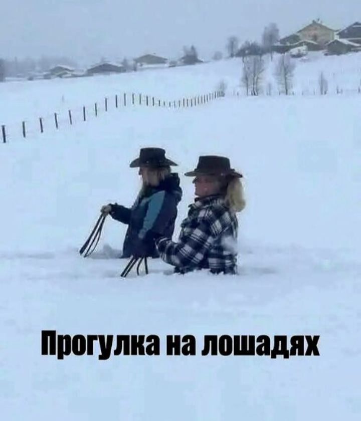 Прогулка на лошадях