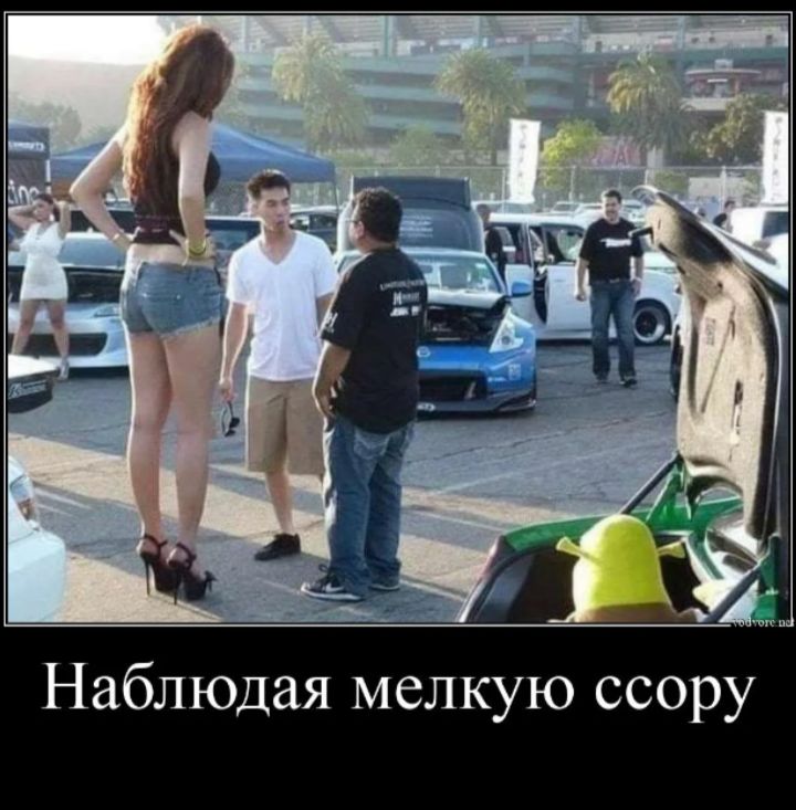 Наблюдая мелкую ссору