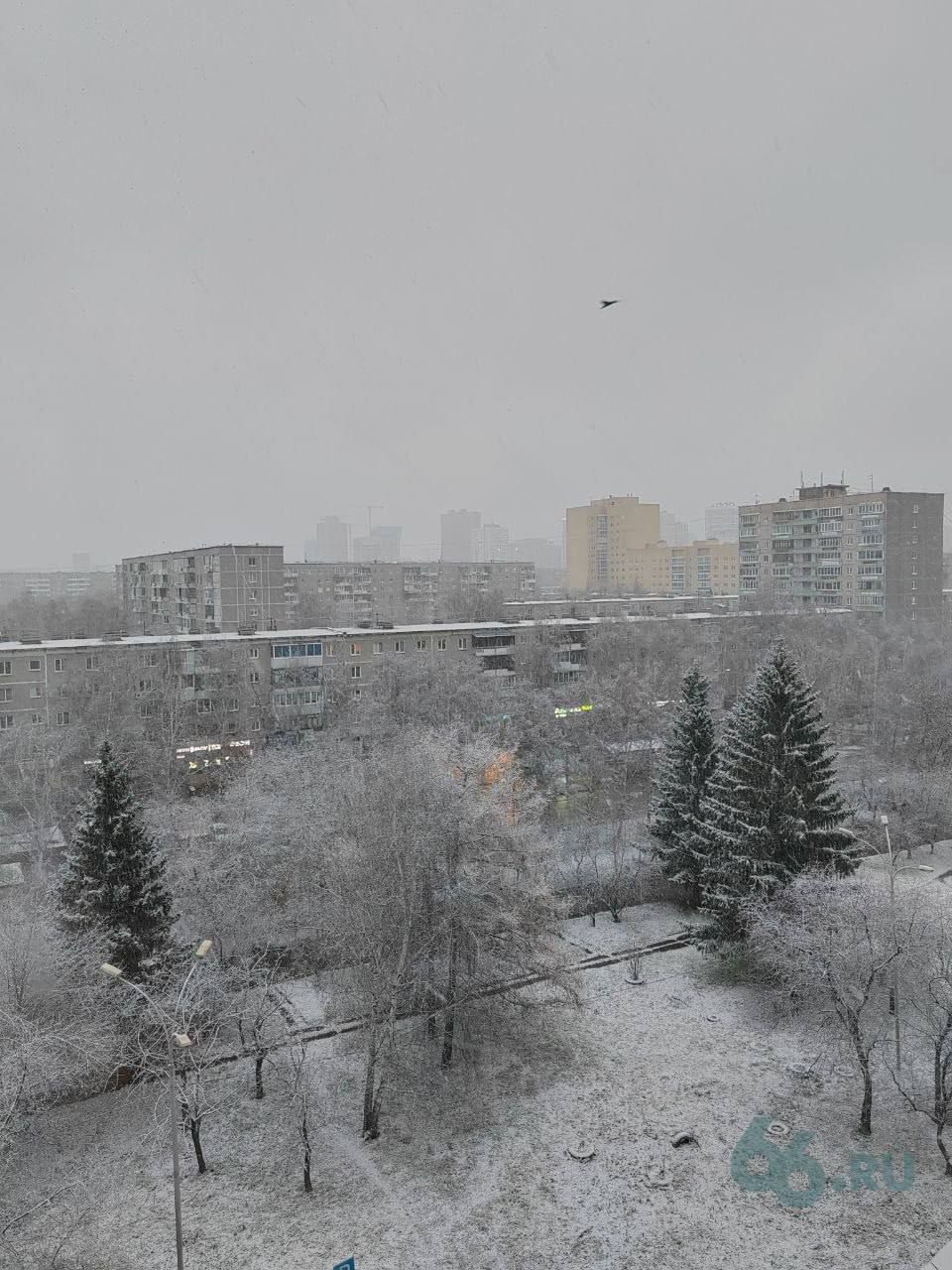 Снежный городской пейзаж: деревья на снегу и многоэтажки.