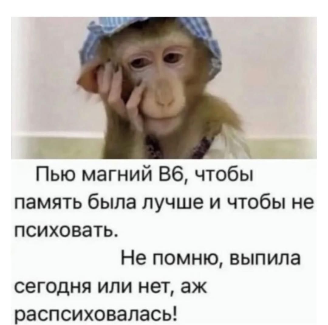 Пью магний B6, чтобы память была лучше и чтобы не психовать. Не помню, выпила сегодня или нет, аж распсиховалась!