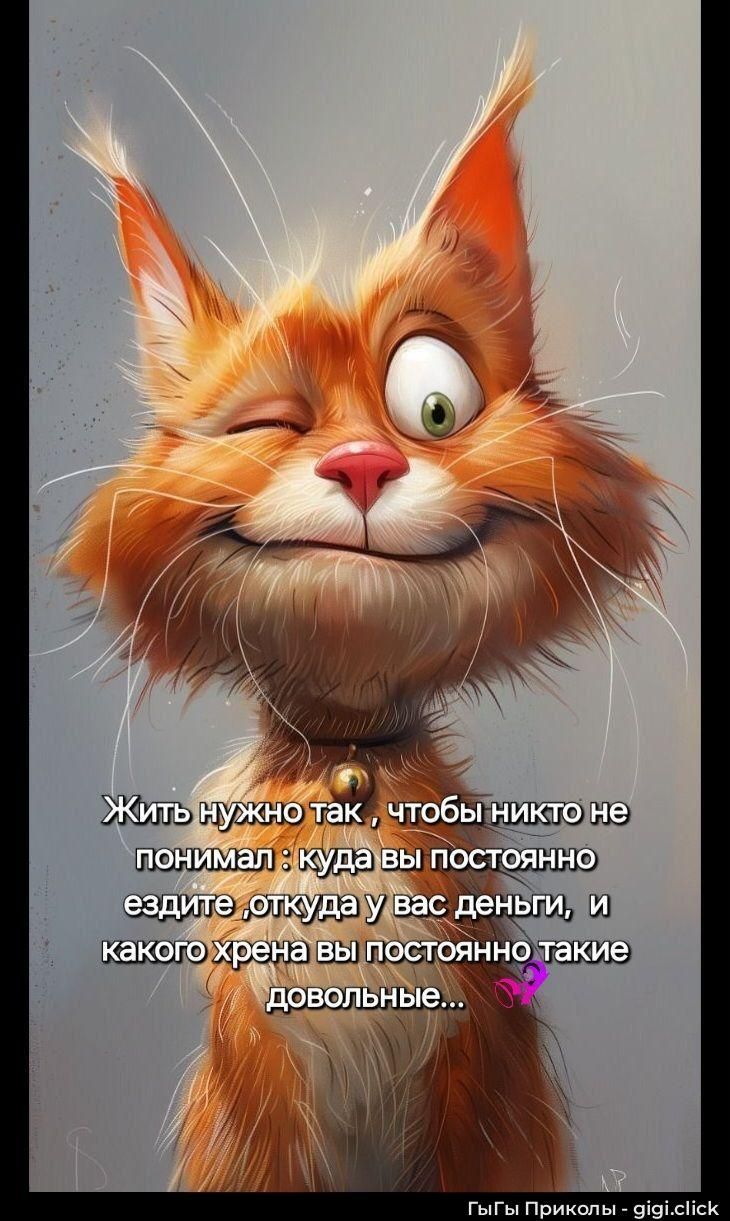 Жить нужно так, чтобы никто не понимал: куда вы постоянно ездите, откуда у вас деньги, и какого хрена вы постоянно такие довольные...