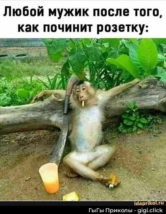 Любой мужик после того, как починит розетку: