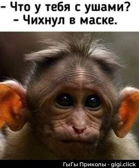 - Что у тебя с ушами? - Чихнул в маске.