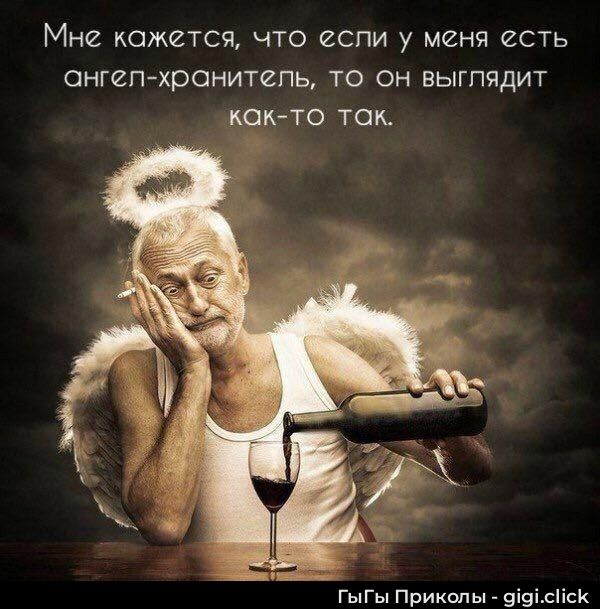 Мне кажется, что если у меня есть ангел-хранитель, то он выглядит как-то так.\nГыы Приколы - gigi.click