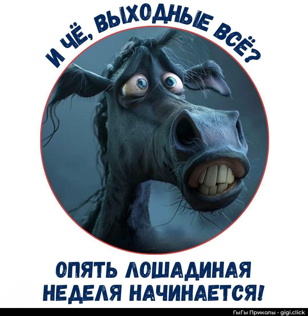 И ЧЁ, ВЫХОДНЫЕ ВСЁ? ОПЯТЬ ЛОШАДИНАЯ НЕДЕЛЯ НАЧИНАЕТСЯ!