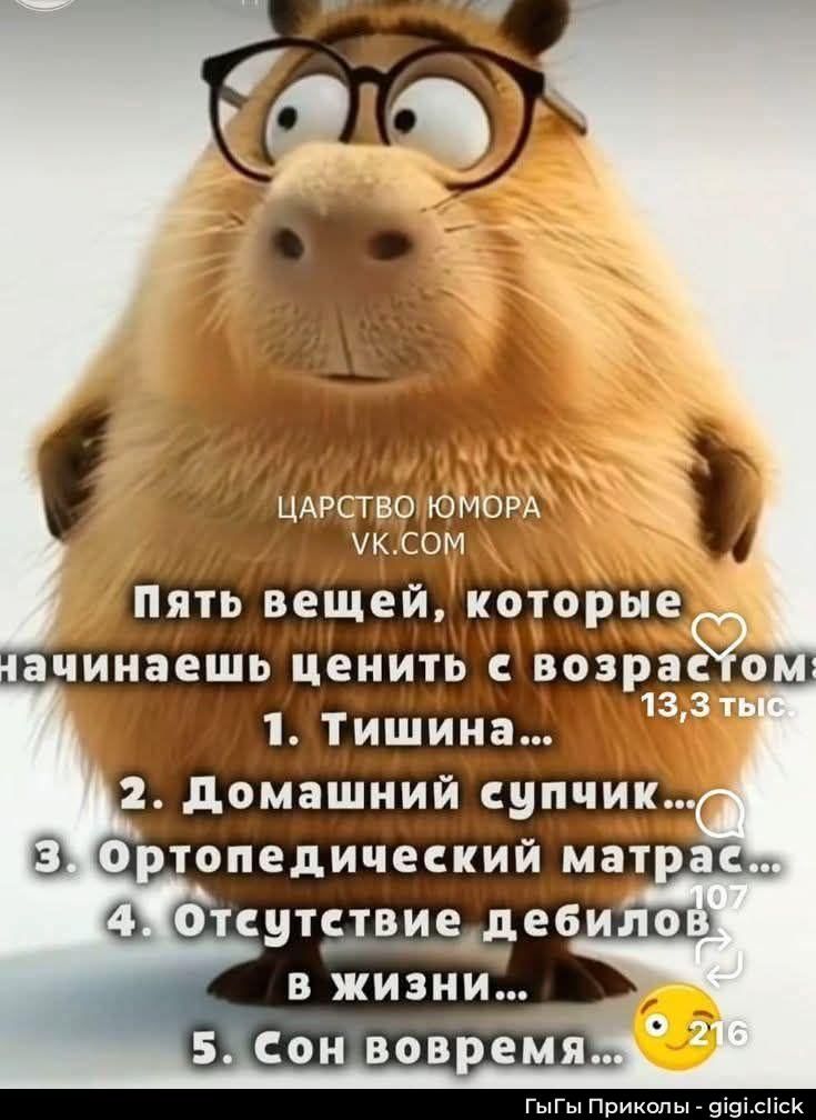 ЦАРСТВО ЮМОРА VK.COM Пять вещей, которые начинаешь ценить с возрастом 1. Тишина... 2. Домашний супчик... 3. Ортопедический матрас... 4. Отсутствие дебилов в жизни... 5. Сон вовремя...