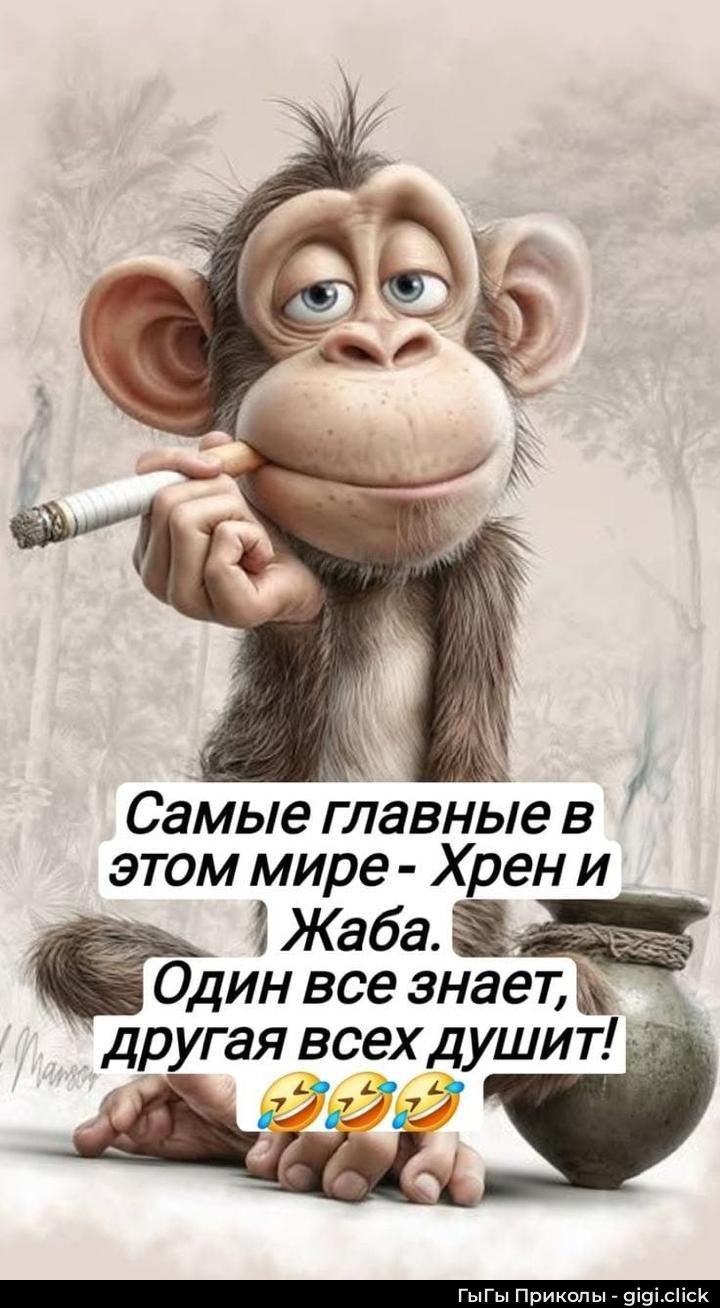 Самые главные в этом мире - Хрен и Жаба. Один все знает, другая всех душит!