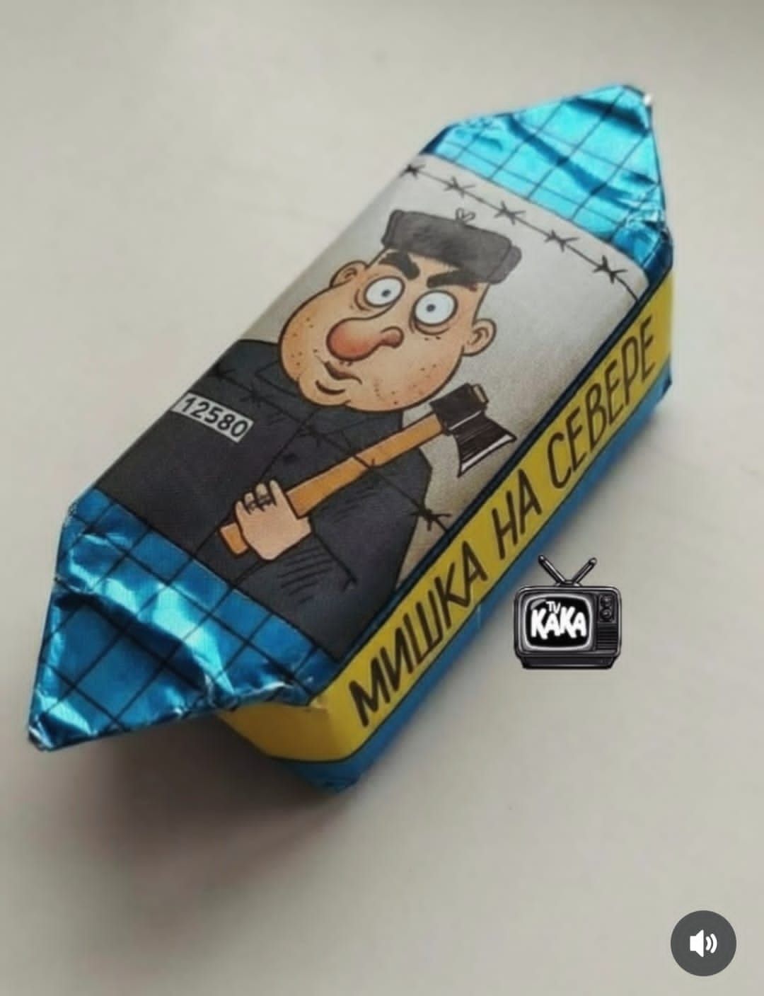 12580 МИШКА НА СЕВЕРЕ