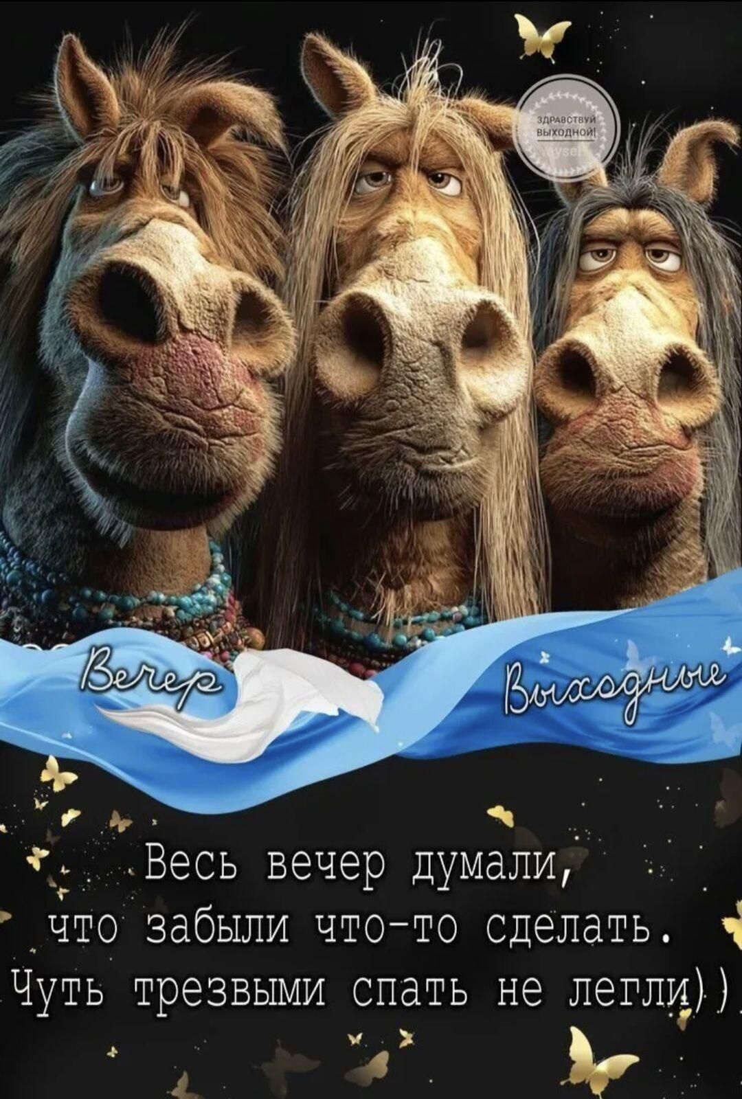 Весь вечер думали, что забыли что-то сделать. Чуть трезвыми спать не легли)))