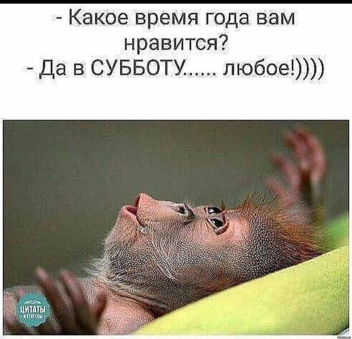 - Какое время года вам нравится?\n- Да в СУББОТУ..... любое!))))