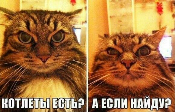нотіівшідвдвщіээ А юпцндйдиэ