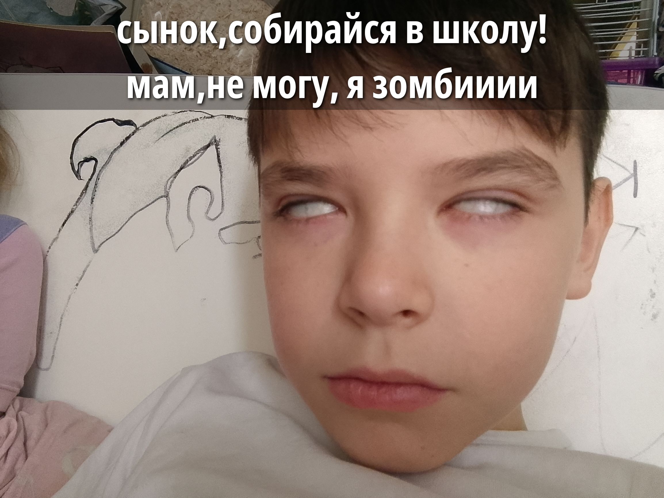 сынок, собирайся в школу! мам, не могу, я зомбииии