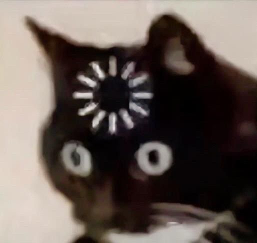 Темный кот с нарисованными белыми глазами и спиннером на голове; стильное, странное изображение