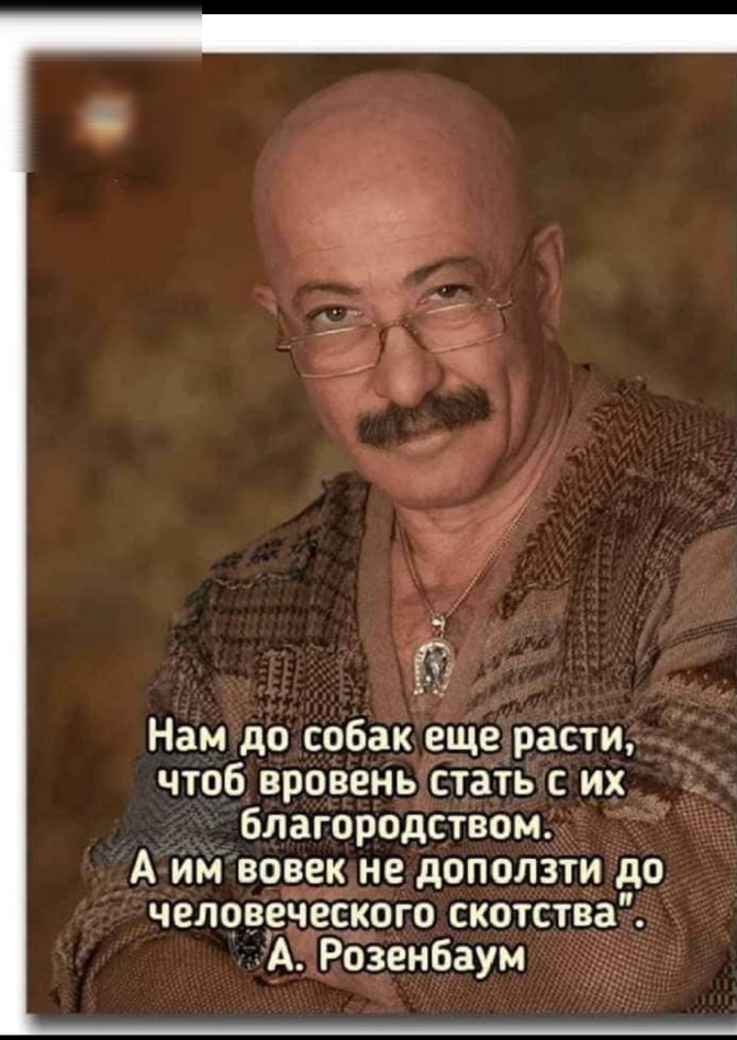 Нам до собак еще расти чтоб вровень стать с их благородством А им вовек не доползти до человеческого скотства А Розенбаум