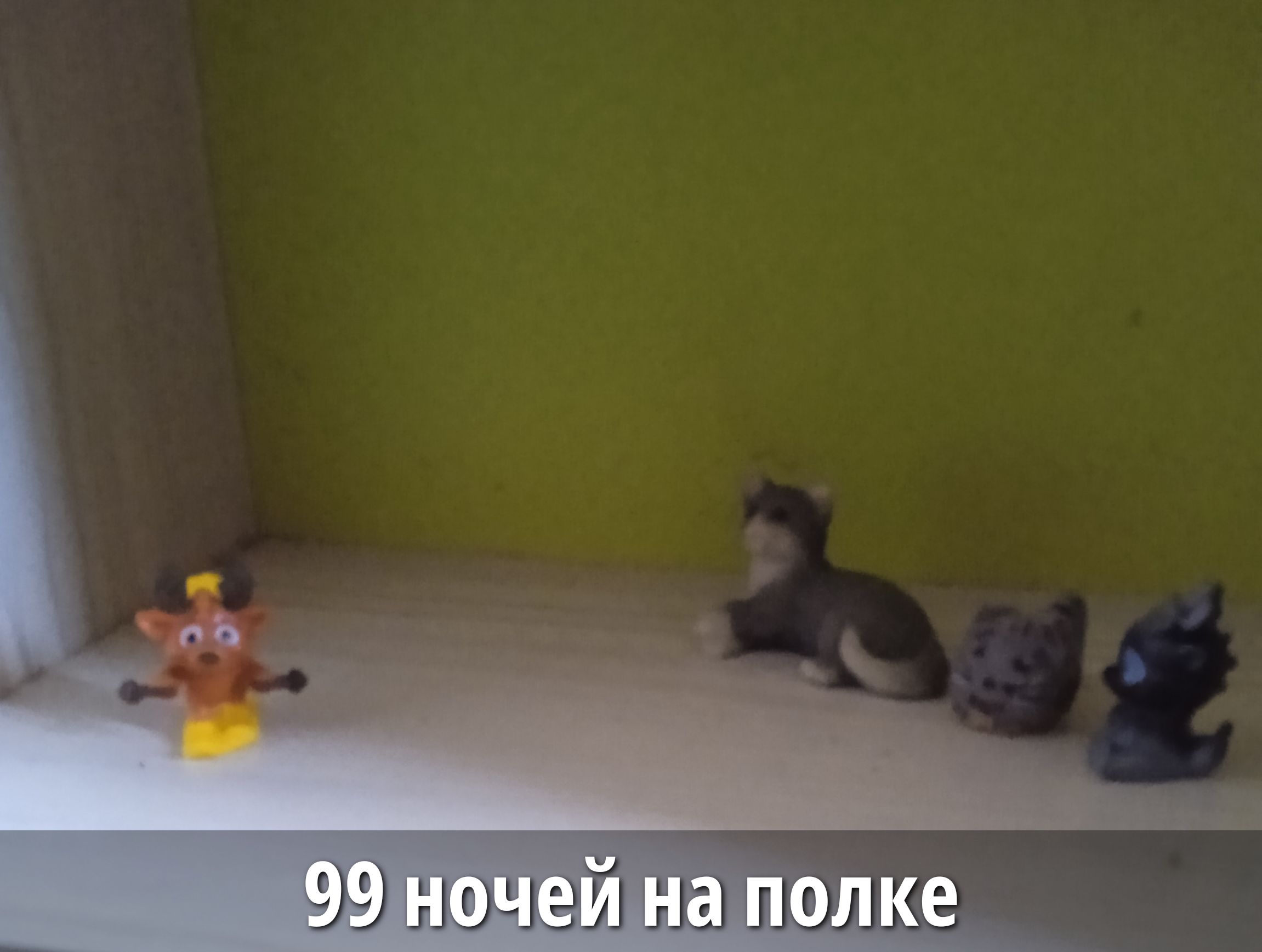 99 ночей на полке