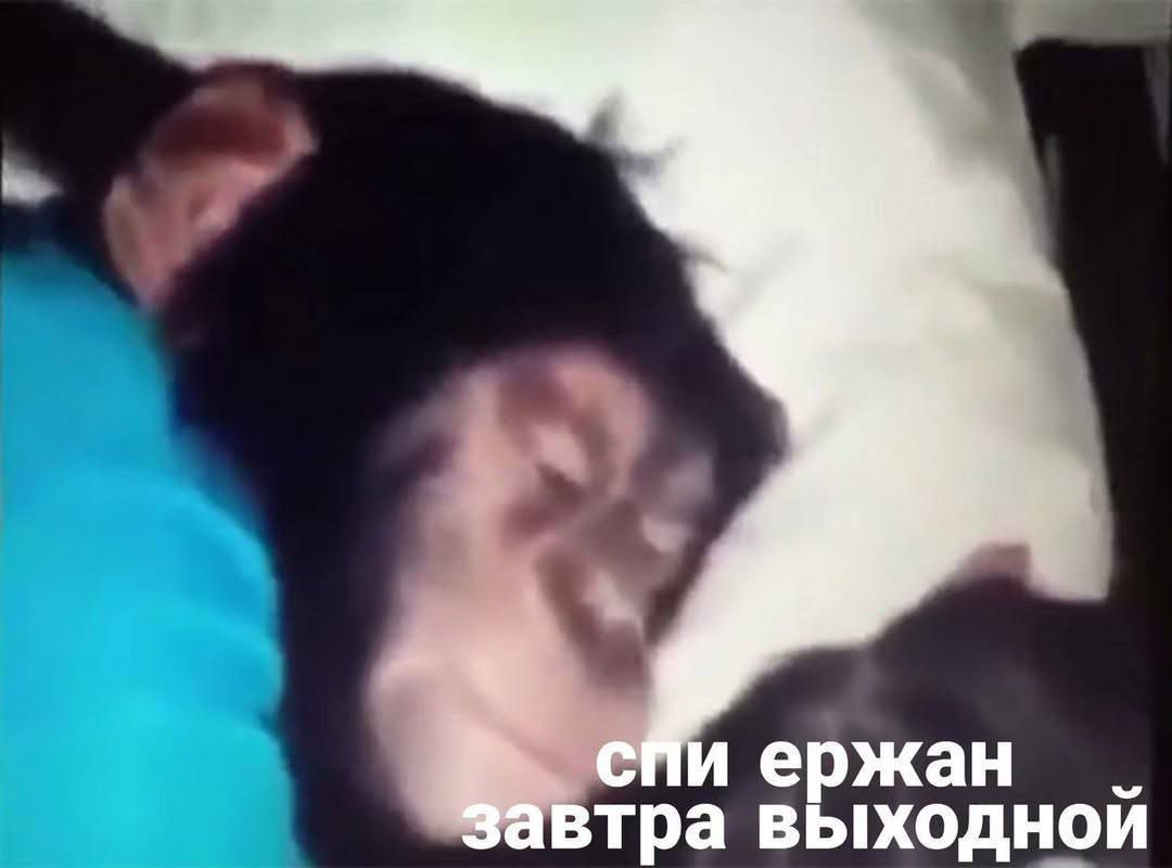 спи ержан завтра выходной