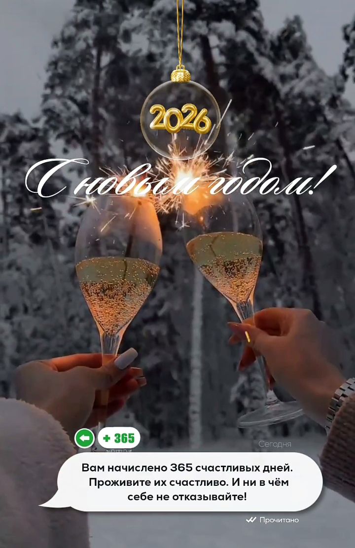 С Новым годом! 
Вам начислено 365 счастливых дней. Проживите их счастливо. И ни в чём себе не отказывайте!
