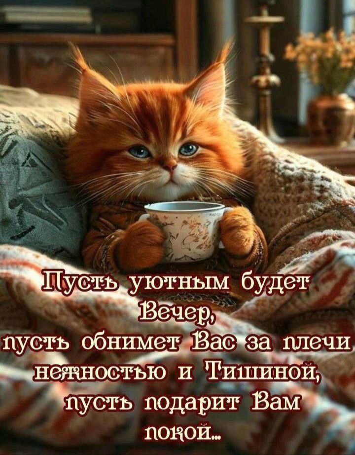 Пусть уютным будет Вечер, пусть обнимет Вас за плечи нежностью и Тишиной, пусть подарит Вам покой...